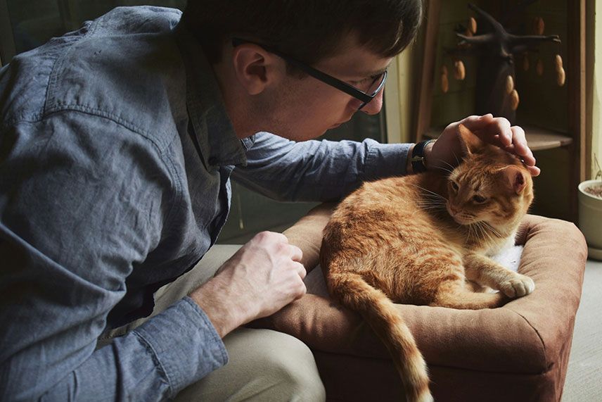 Man petting cat