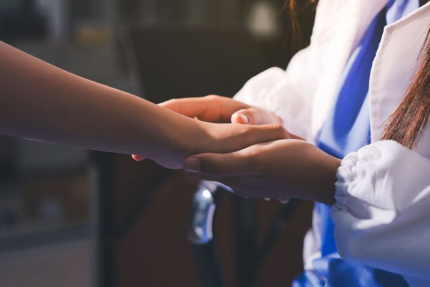 Veterinary team members connecting and sharing experiences