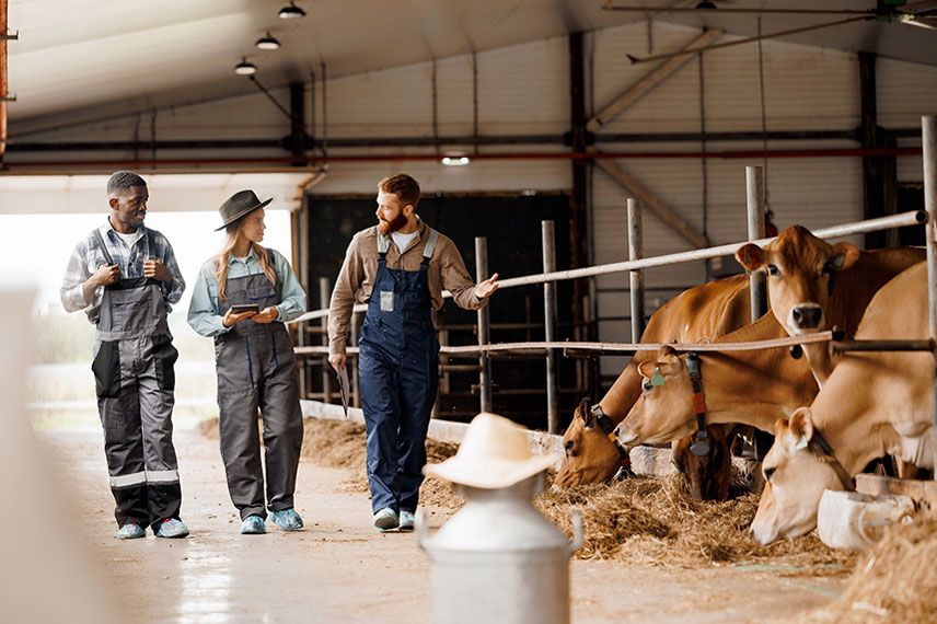 Veterinary professionals in a peer support group