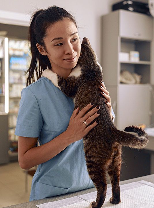 Veterinary professional at work in a clinic, conveying emotional strain