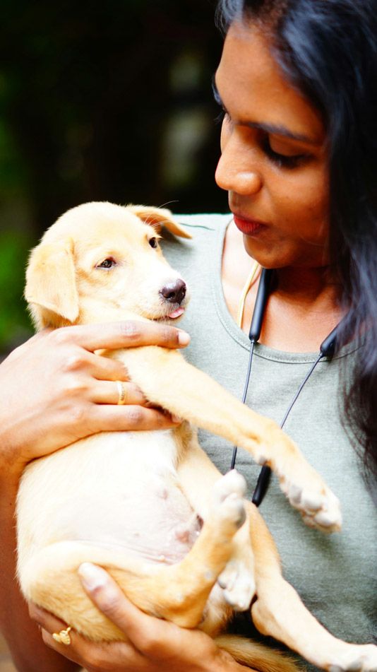A Female Veterinarian holding a dog