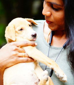 Veterinarian caring for a patient in a veterinary clinic