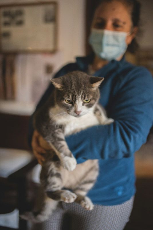 A Female Veterinarian holding a gray and white cat